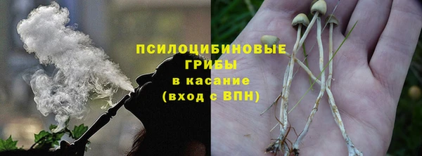 хмурый Богородск