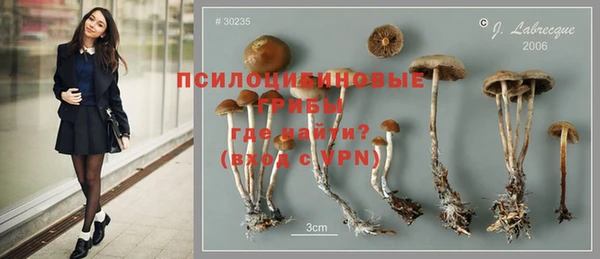 эйфоретик Богданович