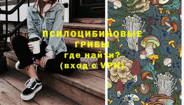 эйфоретик Богданович
