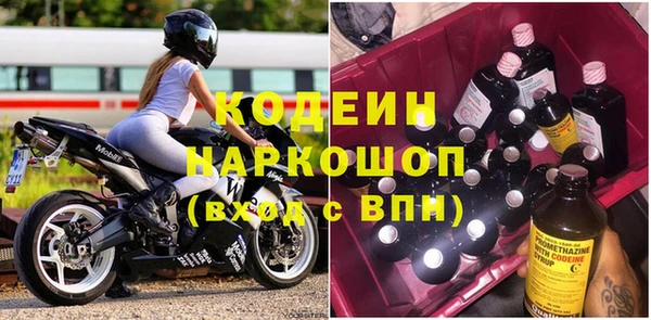 эйфоретик Богданович