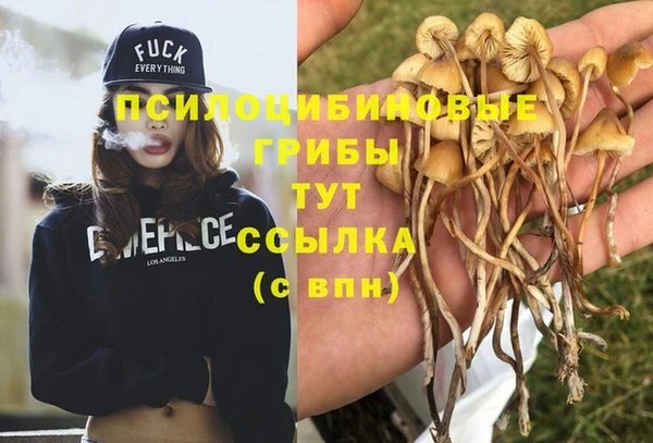 хмурый Богородск