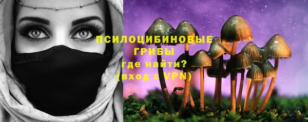 ешки Богородицк