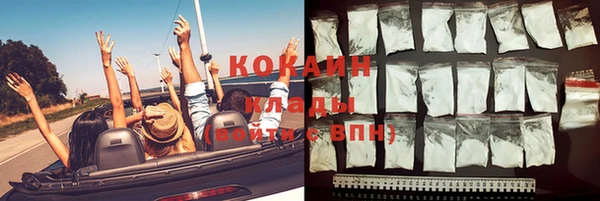 эйфоретик Богданович